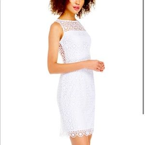 NWT BBDakota Tisa Dress